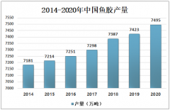随着鱼胶的营养价值、药用价值逐渐被挖掘，中国鱼胶产量不断扩大，2020年或将突破7490吨 [图]