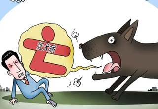 2021年随着狂犬病发病人数、死亡人数下降，中国狂犬疫苗批签量下降75%[图]