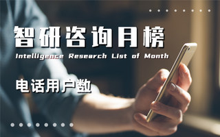 2024年6月中国各省份移动电话用户数排行榜：上海移动电话普及率超过190部/百人（附月榜TOP31详单）