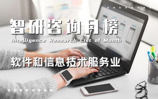 2024年4月中国软件和信息技术服务业业务收入排行榜：河北软件业务累计收入同比增幅最大（附月榜TOP30详单）