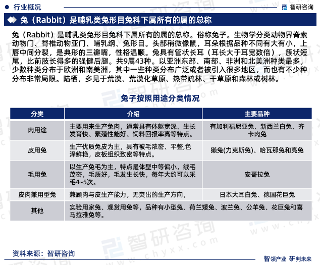 兔（Rabbit）是哺乳类兔形目兔科下属所有的属的总称。俗称兔子。生物学分类动物界脊索动物门、脊椎动物亚门、哺乳纲、兔形目。头部稍微像鼠，耳朵根据品种不同有大有小，上唇中间分裂，是典形的三瓣嘴，性格温顺。兔具有管状长耳（耳长大于耳宽数倍），簇状短尾，比前肢长得多的强健后腿。共9属43种。以亚洲东部、南部、非洲和北美洲种类最多，少数种类分布于欧洲和南美洲，其中一些种类分布广泛或者被引入很多地区，而也有不少种分布非常局限。陆栖，多见于荒漠、荒漠化草原、热带疏林、干草原和森林或树林。
