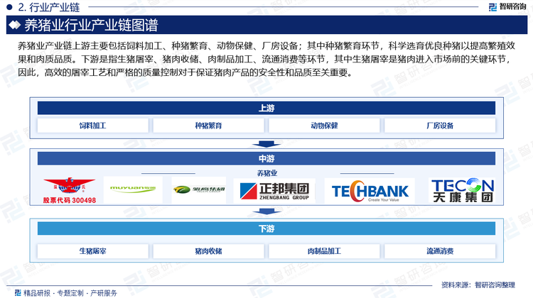 养猪业产业链上游主要包括饲料加工、种猪繁育、动物保健、厂房设备；其中种猪繁育环节，科学选育优良种猪以提高繁殖效果和肉质品质。下游是指生猪屠宰、猪肉收储、肉制品加工、流通消费等环节，其中生猪屠宰是猪肉进入市场前的关键环节，因此，高效的屠宰工艺和严格的质量控制对于保证猪肉产品的安全性和品质至关重要。
