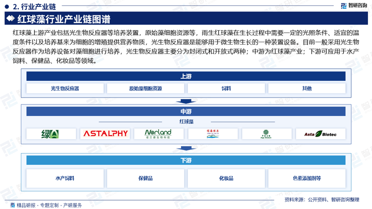 红球藻上游产业包括光生物反应器等培养装置，原始藻细胞资源等，雨生红球藻在生长过程中需要一定的光照条件、适宜的温度条件以及培养基来为细胞的增殖提供营养物质，光生物反应器是能够用于微生物生长的一种装置设备。目前一般采用光生物反应器作为培养设备对藻细胞进行培养，光生物反应器主要分为封闭式和开放式两种；中游为红球藻产业；下游可应用于水产饲料、保健品、化妆品等领域。