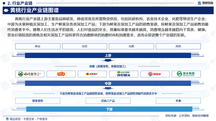 黄桃行业产业链上游主要是品种研发、种苗培育及所需物资供应，包括科研机构、农业技术企业、化肥等物资生产企业；中游为水果种植及深加工，生产鲜果及各类深加工产品；下游为鲜果及深加工产品的销售渠道，将鲜果及深加工产品销售到最终消费者手中。随着人们生活水平的提高，人们对食品的安全、质量标准要求越来越高，消费理念越来越趋向于营养、健康。营业价值较高的黄桃及相关深加工产品将更符合消费群体的消费时尚和消费需求，进而会促进整个产业链的发展。