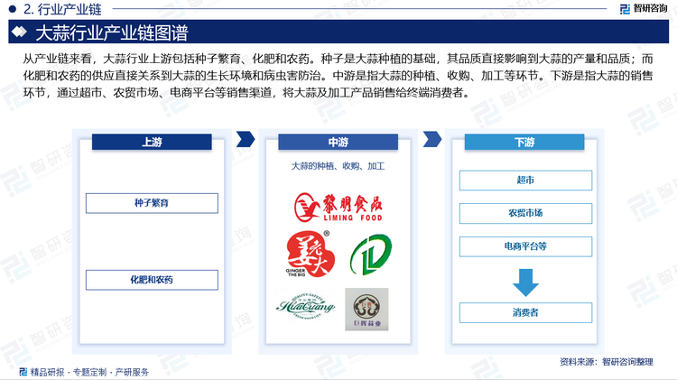 从产业链来看，大蒜行业上游包括种子繁育、化肥和农药。种子是大蒜种植的基础，其品质直接影响到大蒜的产量和品质；而化肥和农药的供应直接关系到大蒜的生长环境和病虫害防治。中游是指大蒜的种植、收购、加工等环节。下游是指大蒜的销售环节，通过超市、农贸市场、电商平台等销售渠道，将大蒜及加工产品销售给终端消费者。