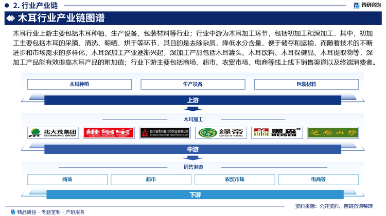 木耳行业上游主要包括木耳种植、生产设备、包装材料等行业；行业中游为木耳加工环节，包括初加工和深加工，其中，初加工主要包括木耳的采摘、清洗、晾晒、烘干等环节，其目的是去除杂质，降低水分含量，便于储存和运输，而随着技术的不断进步和市场需求的多样化，木耳深加工产业逐渐兴起，深加工产品包括木耳罐头、木耳饮料、木耳保健品、木耳提取物等，深加工产品能有效提高木耳产品的附加值；行业下游主要包括商场、超市、农贸市场、电商等线上线下销售渠道以及终端消费者。